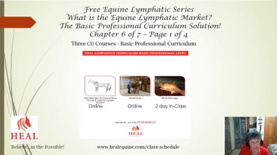 The Basic Professional Curriculum Solution.jpg