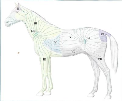 7 SevenTerrioriesof horseRevsied.jpg