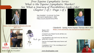 poster - chapter 7.png
